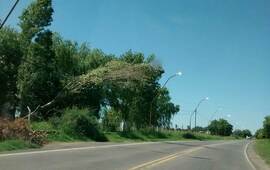 La foto fue enviada por una vecina.