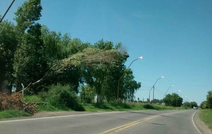 La foto fue enviada por una vecina.