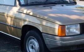 La víctima fatal conducía un Renault 9 color marrón, similar al de la imagen. Foto: autos.com.ar