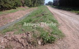 No solo se pueden observar montañas de tierra, sino que están creciendo las malezas.