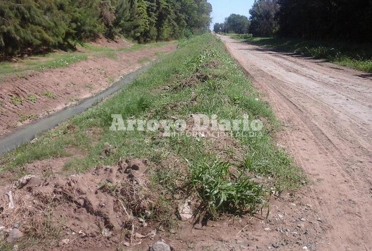 No solo se pueden observar montañas de tierra, sino que están creciendo las malezas.