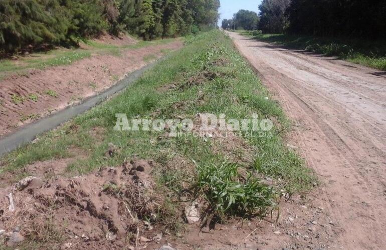 No solo se pueden observar montañas de tierra, sino que están creciendo las malezas.