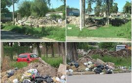 Las imágenes fueron tomadas por el vecino que hizo el reclamo a través de Arroyo Diario