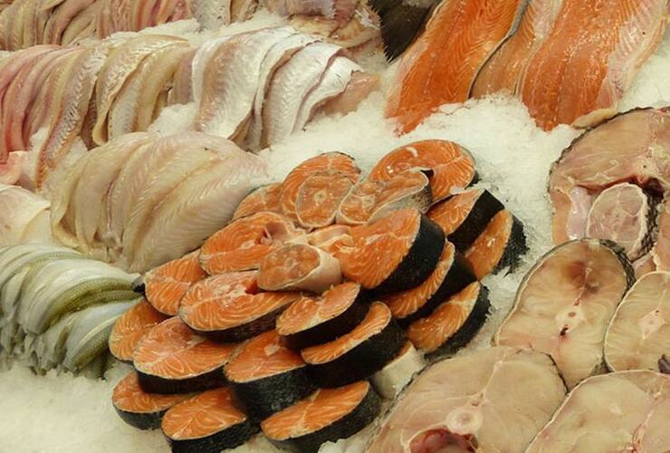 Foto: Imagen Ilustrativa Foto: Imagen Ilustrativa