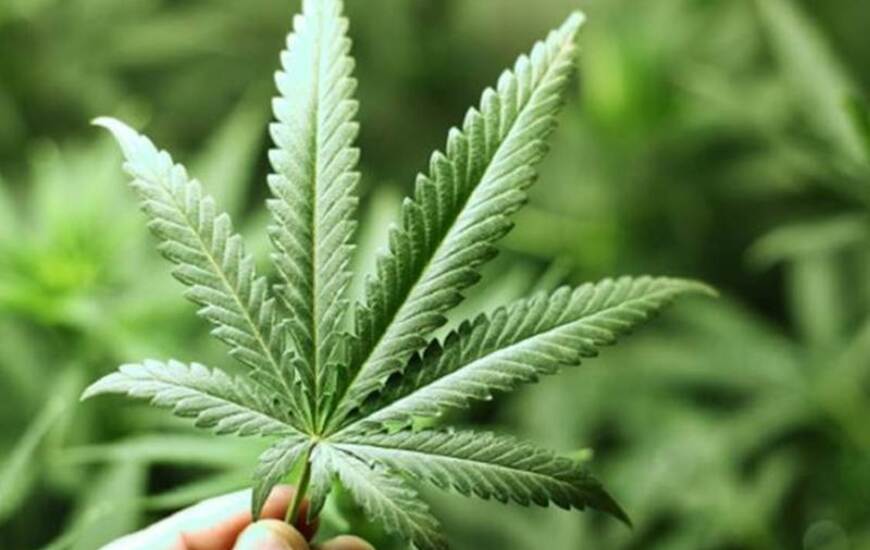 Foto: Imagen Ilustrativa