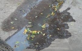 Una de las fotos tomada por la vecina que habl&oacute; con Arroyo Diario este viernes