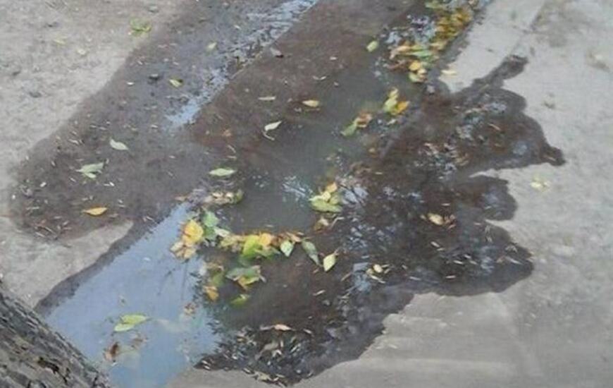 Una de las fotos tomada por la vecina que habló con Arroyo Diario este viernes