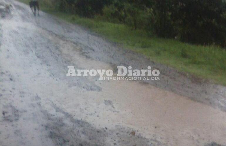 Las intensas precipitaciones de ayer, causaron estragos en algunas calles y caminos de la ciudad.