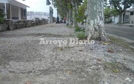 Imagen de Malestar de vecinos de San Mart&iacute;n al 100