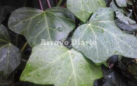 Imagen de Cielo nublado y tiempo inestable