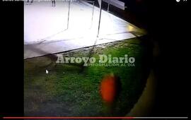 Foto: captura de pantalla video