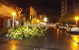 Pleno centro. Calle San Mart&iacute;n al 300