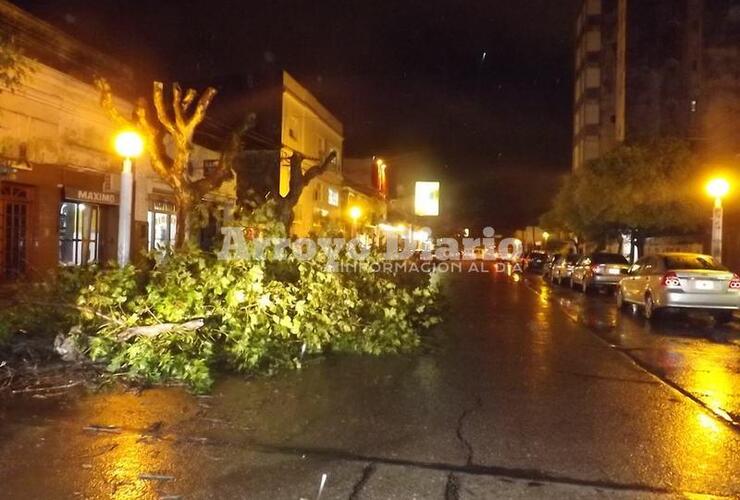 Pleno centro. Calle San Martín al 300