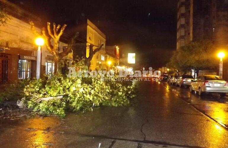 Pleno centro. Calle San Martín al 300