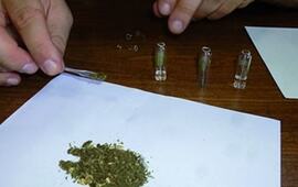 Foto: Imagen Ilustrativa