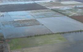Una imagen aérea de cómo están los campos debido a las intensas lluvias.