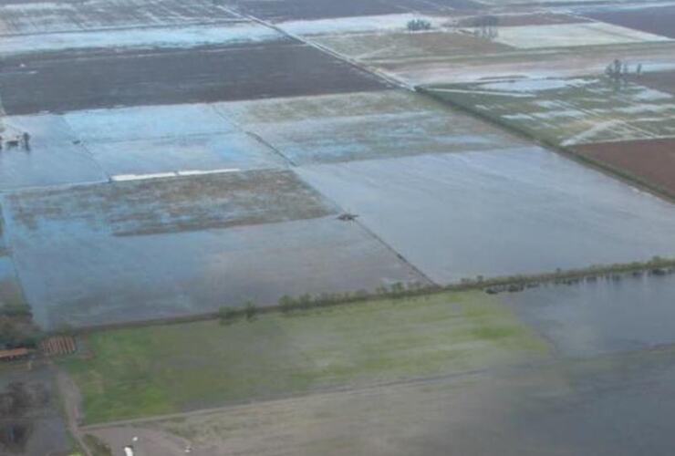 Una imagen aérea de cómo están los campos debido a las intensas lluvias.