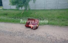 Imagen de Macabro paisaje en el camino al Bote Club