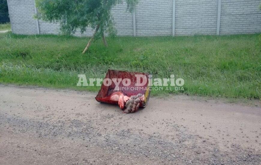 Imagen de Macabro paisaje en el camino al Bote Club