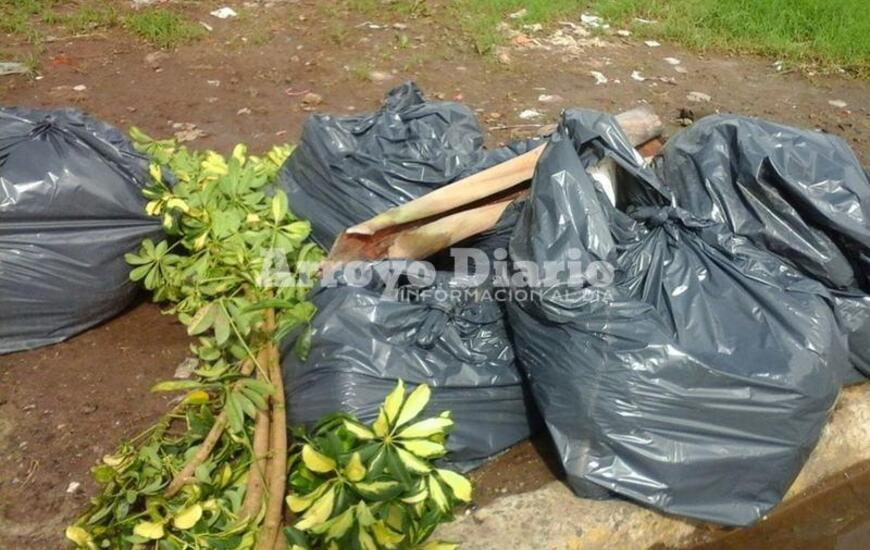 Despu&eacute;s del mediod&iacute;a no hab&iacute;a mucha cantidad de bolsitas pero el vecino dijo que es una constante y que suelen tirar cualquier cosa. Es m&aacute;s, hace unos 10 d&iacute;as en el mismo predio hab&iacute;an arrojado un caballo muerto.