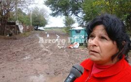 Imagen de Las vacas rompieron el camino