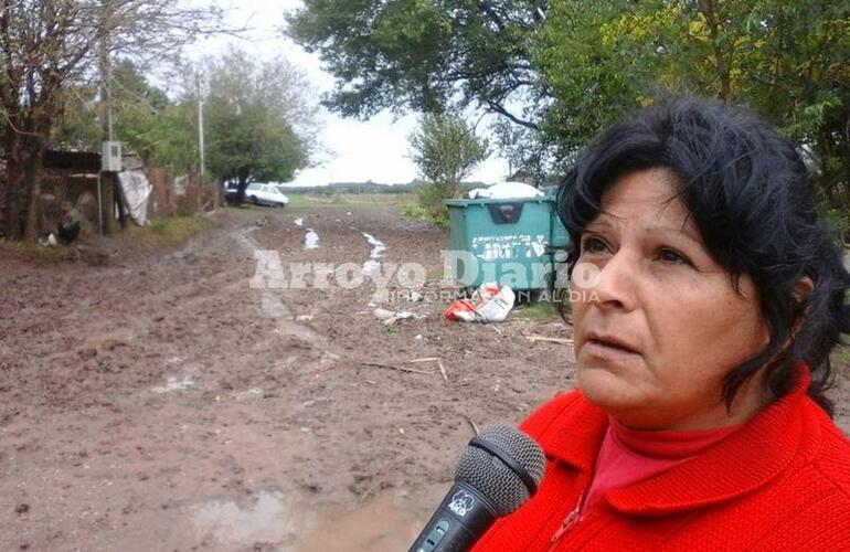 Imagen de �Las vacas rompieron el camino�