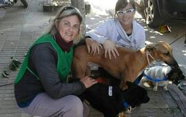 Foto: Facebook Bicheros De Arroyo Seco