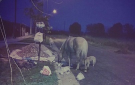 Imagen de Postal diaria en Barrio Santa Rita