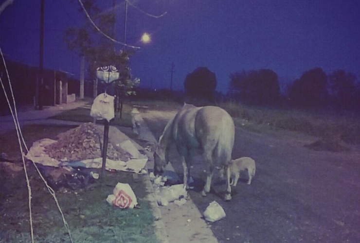 Imagen de Postal diaria en Barrio Santa Rita