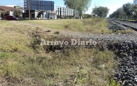 Foto: Jorge Cuello
