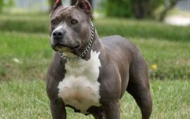 Foto: Imagen Ilustrativa