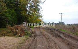 Calle Maiztegui, barrio Acevedo