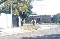 Belgrano y Baigorria