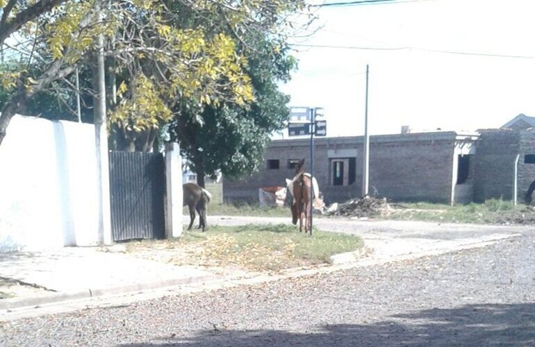Belgrano y Baigorria