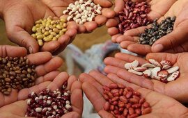 Foto: Imagen Ilustrativa