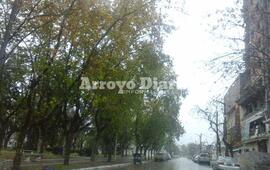 Imagen de S&aacute;bado de lloviznas