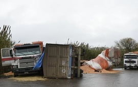 De madrugada. El choque se produjo esta ma&ntilde;ana cuando todav&iacute;a no hab&iacute;a despuntado el amanecer. Foto: Sebasti&aacute;n Meccia