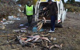 Foto: Jorge Mansilla. Notilagos.