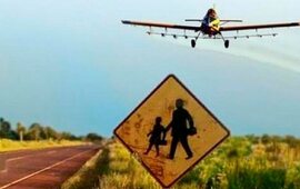 Imagen de Asamblea regional de Pueblos Fumigados