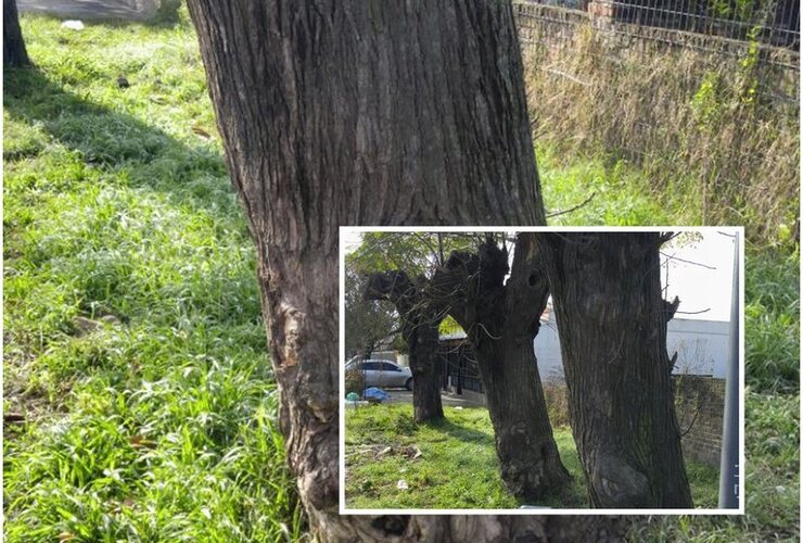 En fotos. Las imágenes y el reclamo que se hizo público este lunes.