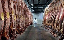 Foto: Imagen Ilustrativa