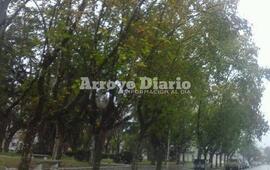 Foto: Imagen Ilustrativa. Archivo AD