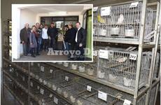 Imagen de Arroyo Seco: 73&ordm; Exposici&oacute;n Anual de la Asociaci&oacute;n Rosarina de Canaricultura Roller