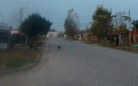 En lugar. Esta es la zona donde se registr&oacute; el llamativo episodio. Foto: Notilagos