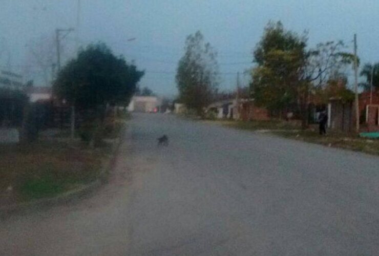 En lugar. Esta es la zona donde se registró el llamativo episodio. Foto: Notilagos