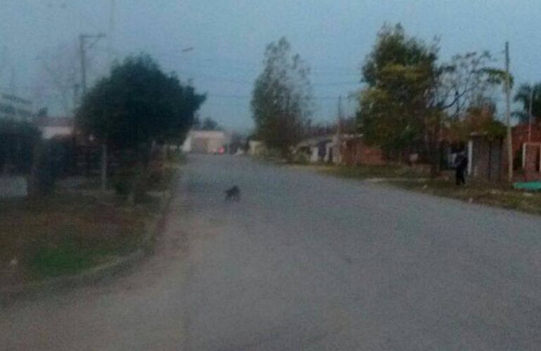 En lugar. Esta es la zona donde se registr&oacute; el llamativo episodio. Foto: Notilagos