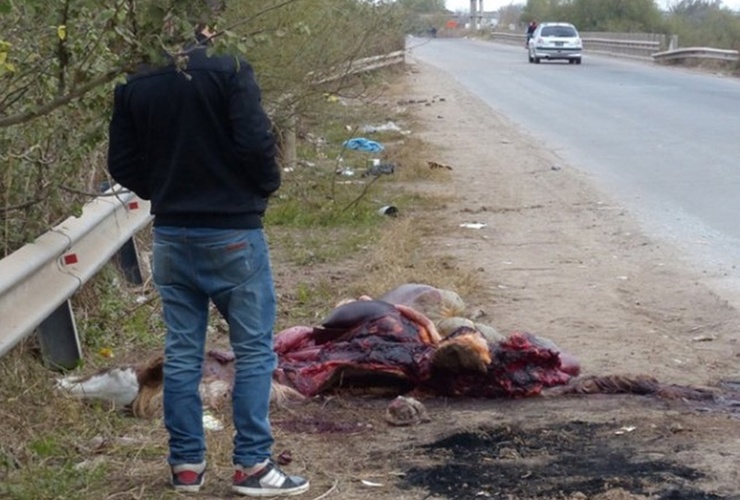 Restos. Tras el incidente, los vecinos faenaron a la yegua