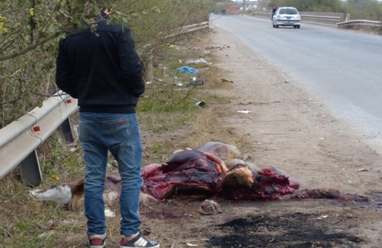 Restos. Tras el incidente, los vecinos faenaron a la yegua