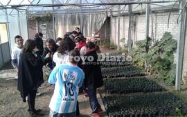 Foto: Gentileza Nicol&aacute;s Trabaina