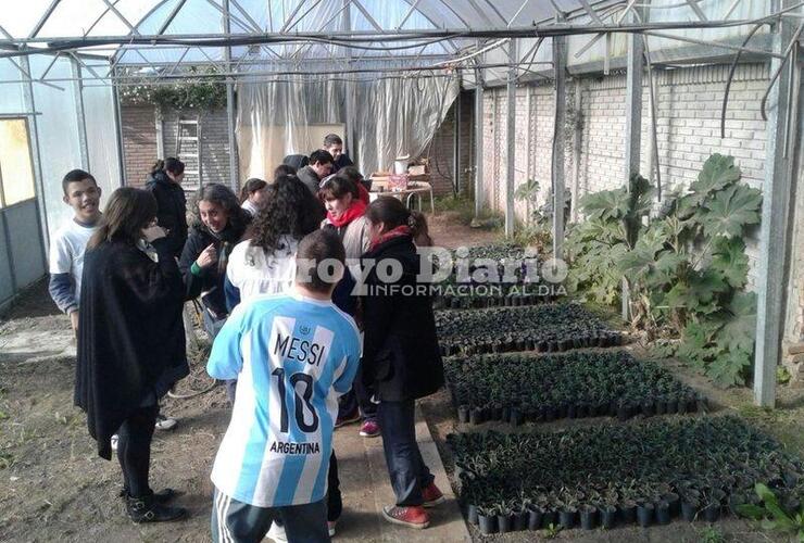 Foto: Gentileza Nicol&aacute;s Trabaina